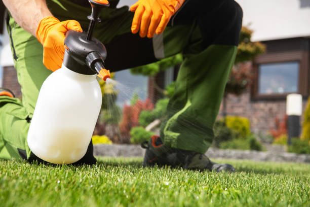 Best Flea Control Services  in , HI
